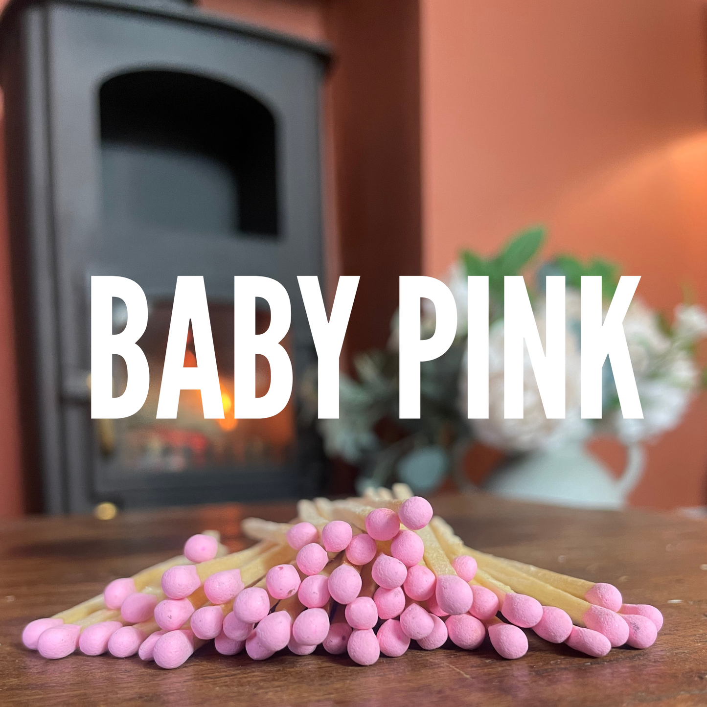 The Tortoise Starter Pack